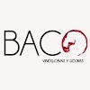 Tienda de vinos Baco Vinos Cádiz en Cádiz, Cádiz tipos distintos de vinos en España Baco Vinos Cádiz