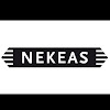 Negocio Bodega Nekeas