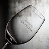 Negocio Bodegas La Pelina