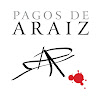 Negocio Bodegas Pagos De Araiz