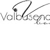 Tienda de vinos Valbusenda Boutique en Zamora, Zamora tipos distintos de vinos en España Valbusenda Boutique