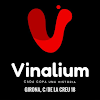 Tienda de vinos Vinalium Girona en Girona, Girona tipos distintos de vinos en España Vinalium Girona