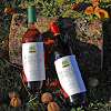 Negocio Vinos Maioz Ardoak