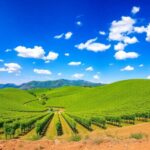 Clima y suelos en Rioja: explicado para gente normal