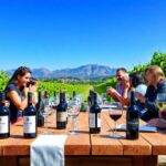 Marcas de Rioja conocidas: cómo compararlas sin prejuicios