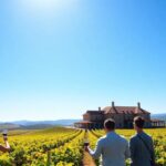 Por qué el Rioja es tan conocido fuera de España